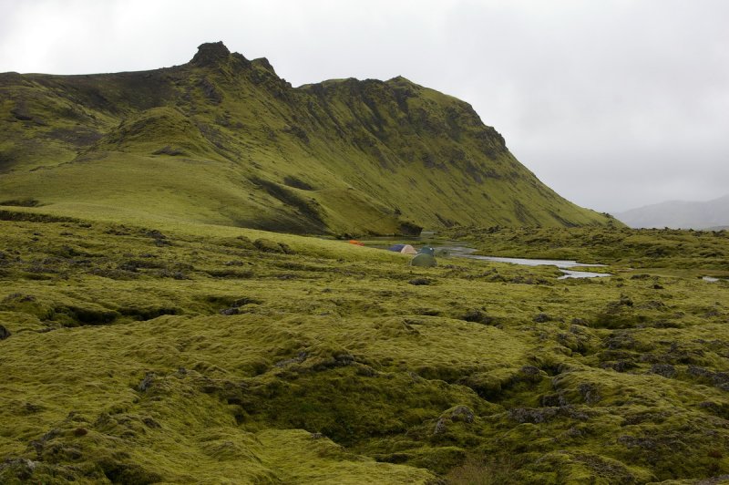 vi Lyngfell