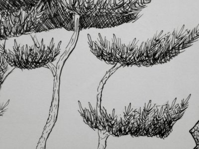 trees13.jpg