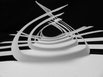 DSCN9831.jpg