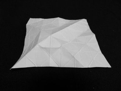 DSCN9855.jpg