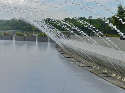 DSCN0184.jpg