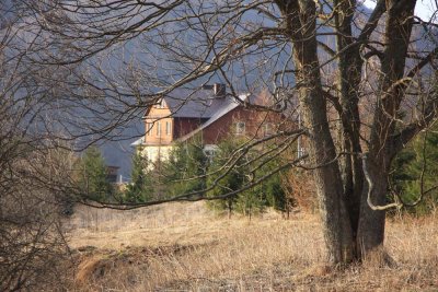 ss_img_0617.jpg