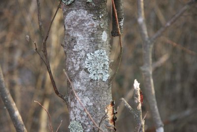 ss_img_0639.jpg