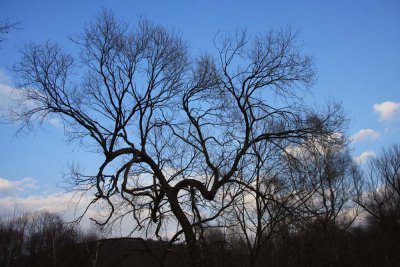 ss_img_0706.jpg