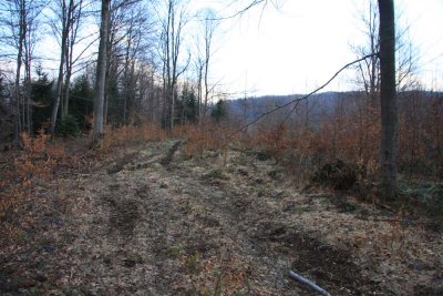 ss_img_0728.jpg