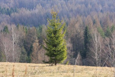 ss_img_0756.jpg