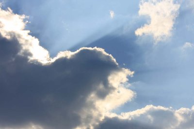 ss_img_0807.jpg