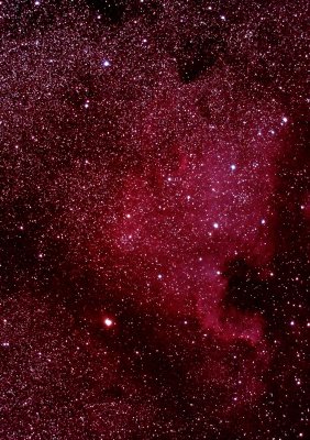 NGC7000 - North America Nebula