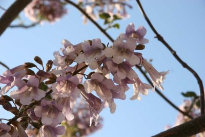 img_9008_s.jpg