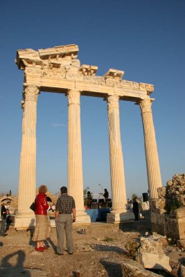 img_9015_s.jpg