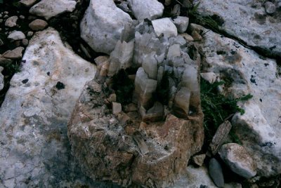 pict0066_s.jpg
