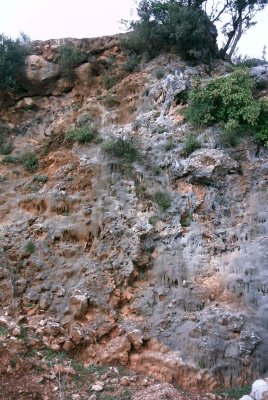 pict0080_s.jpg