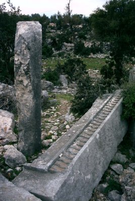 pict0096_s.jpg