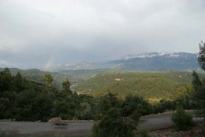 img_9235_s.jpg