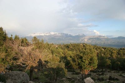 img_9240_s.jpg