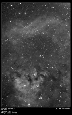NGC 7822 and CED214