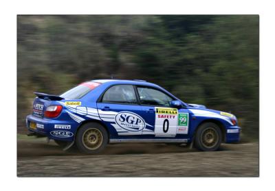g4/85/568685/3/60121739.Pirelli.jpg