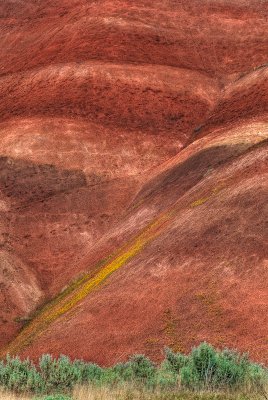 Painted Hills 26