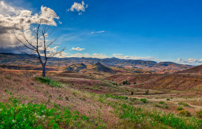 Painted Hills 5