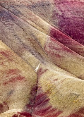 Painted Hills 15