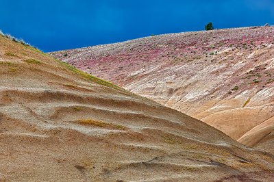 Painted Hills 16