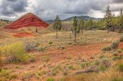 Painted Hills 18