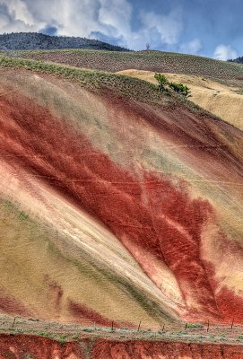 Painted Hills 21