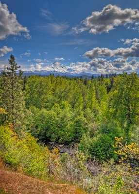 Mount Hood 1