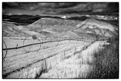 Painted Hills 5