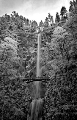 Multnomah Falls 2.jpg