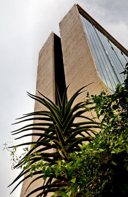 g4/85/574785/3/137838869.WUtP1EiE.jpg