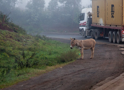 Modes of transporation