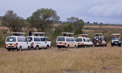 Safari Vans