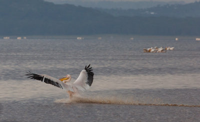 Perfect landing