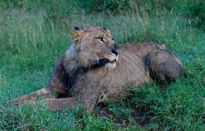Lake Nakuru National Park