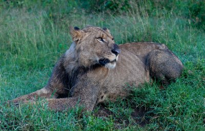 Lake Nakuru National Park