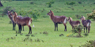 Waterboks