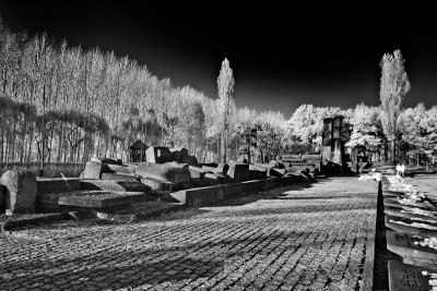 Auschwitz-Birkenau 13