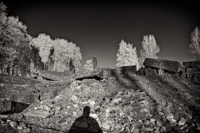 Auschwitz-Birkenau 16