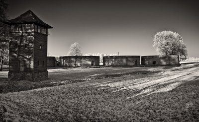 Auschwitz-Birkenau 19