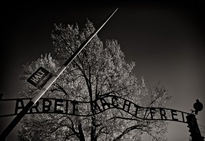 Auschwitz-Birkenau Infrared