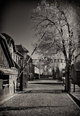 Auschwitz One 2