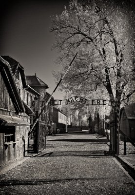 Auschwitz One 2