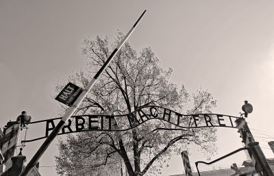 Auschwitz-Birkenou