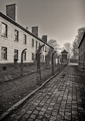 Auschwitz One 4