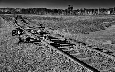 Auschwitz-Birkenau 1