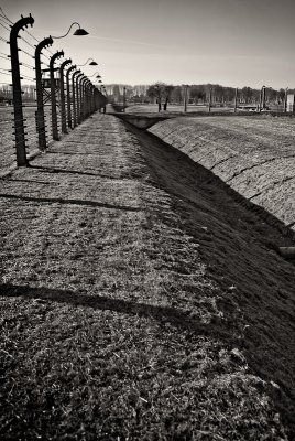 Auschwitz-Birkenau 6