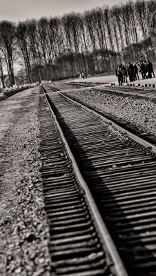 Auschwitz-Birkenau 3