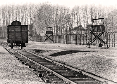 Auschwitz-Birkenau 4