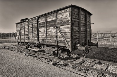 Auschwitz-Birkenau 5